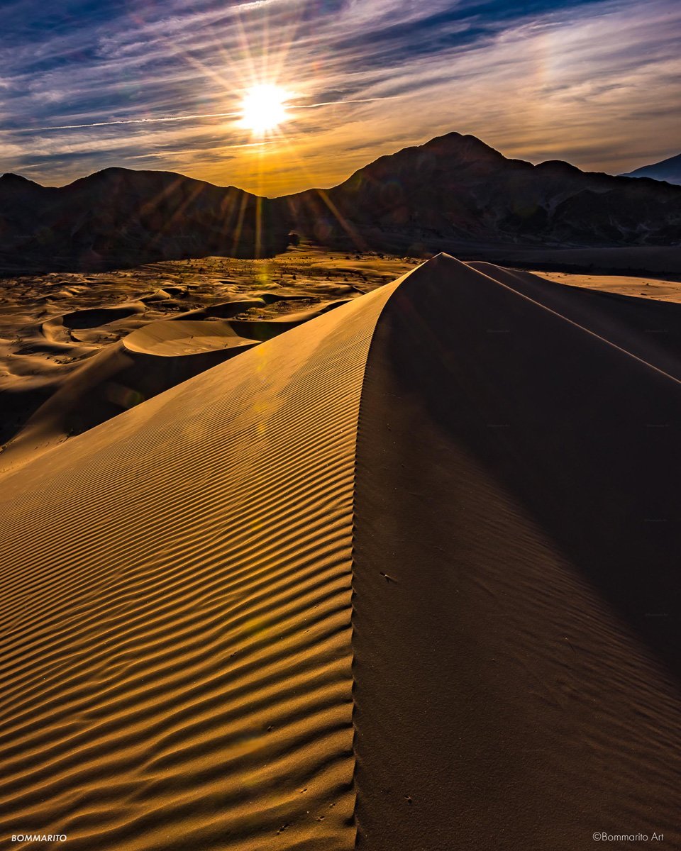Windswept Dunes