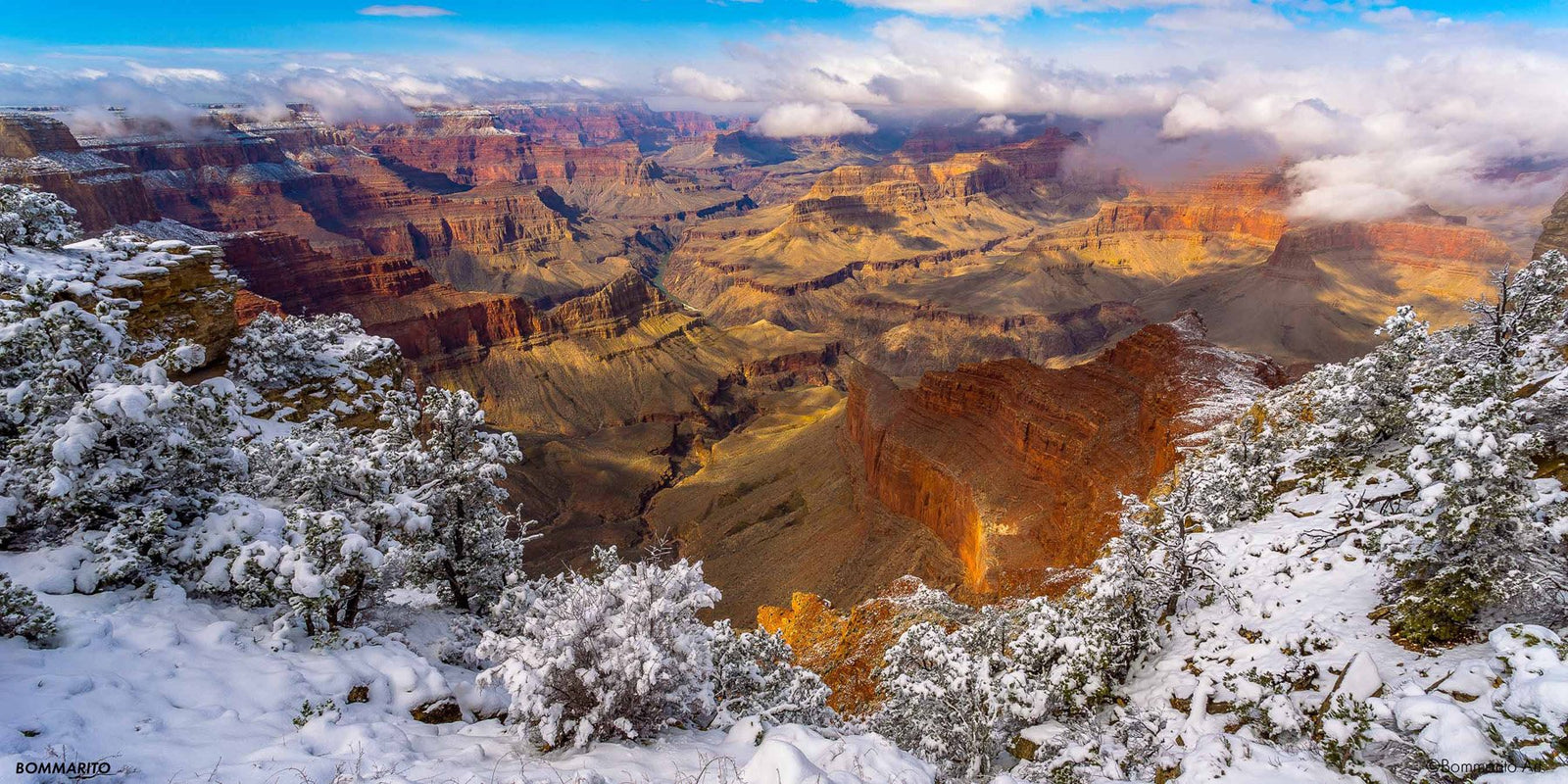 Winter Wonderland