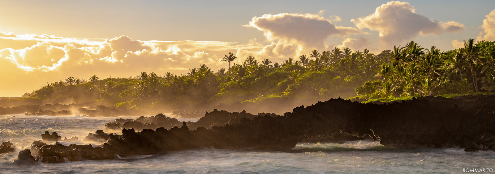 Volcanic Coast