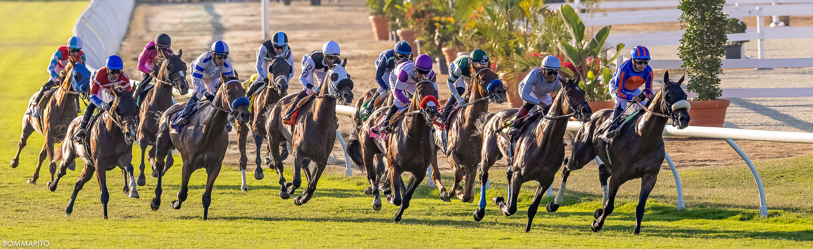 Race 10 - Opening Day