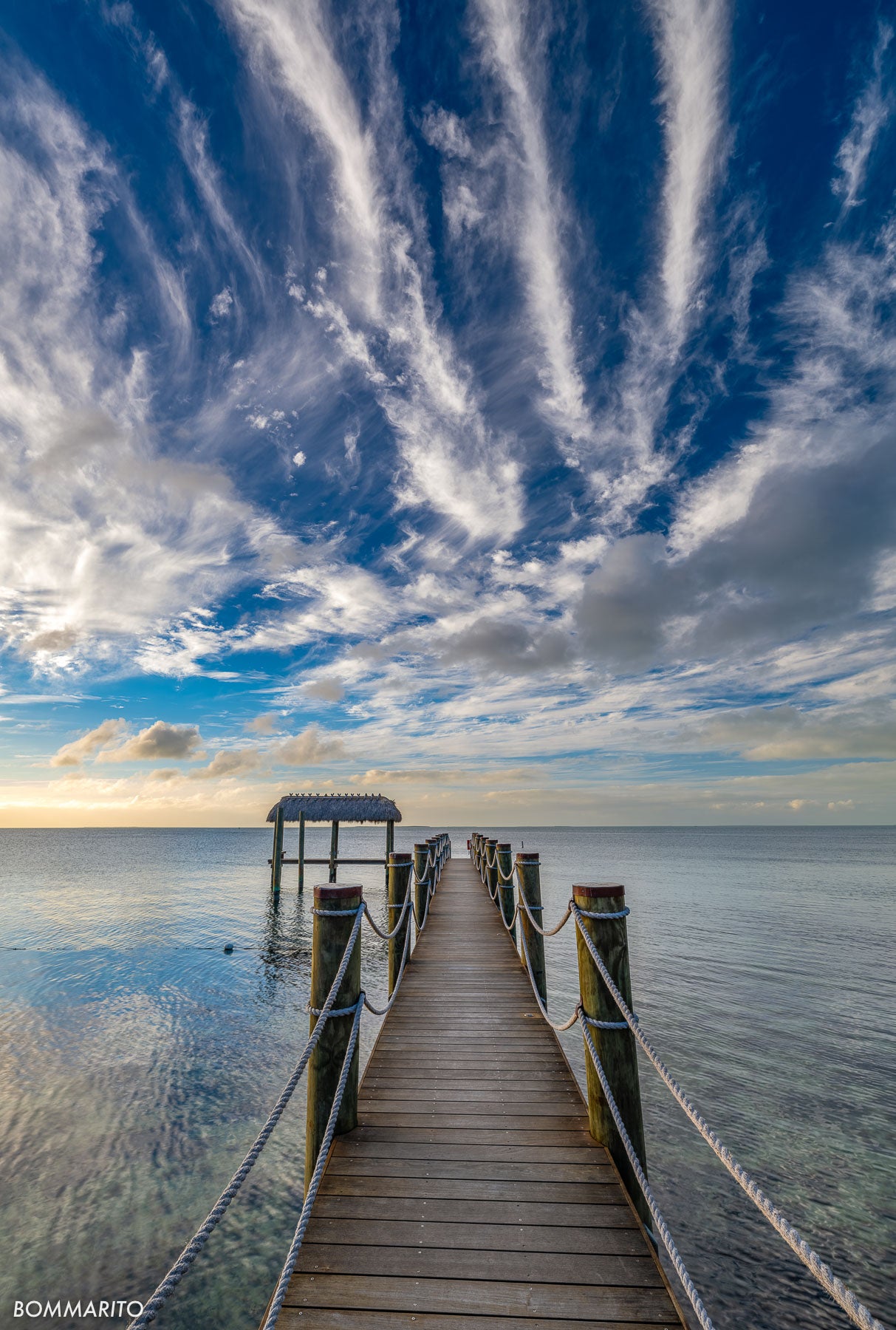 Feathers of Twilight