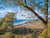 Golden Hour at Torrey Pines Park