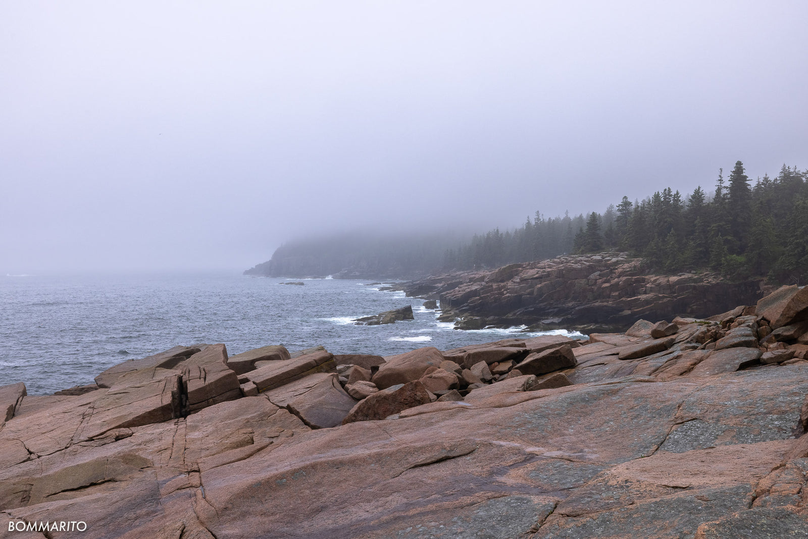 Acadia Ocean View