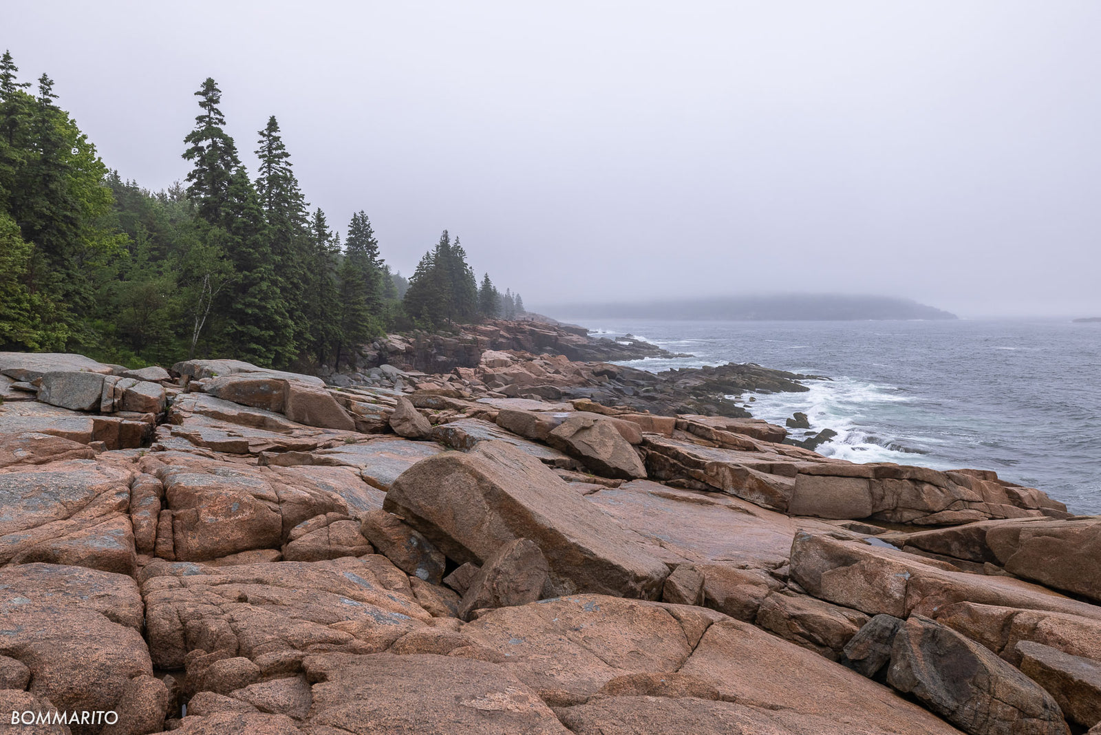 Acadia Rocky Coast