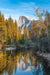 Autumn on the Merced River