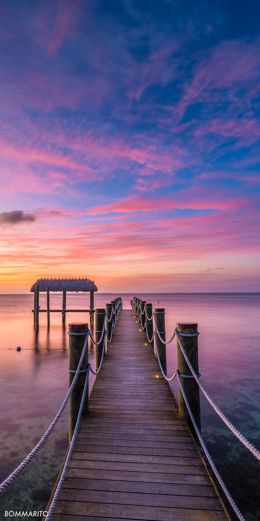 Tropical Tranquility