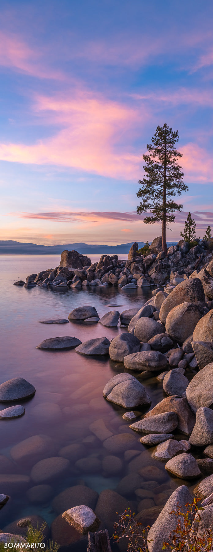 Tahoe Shores