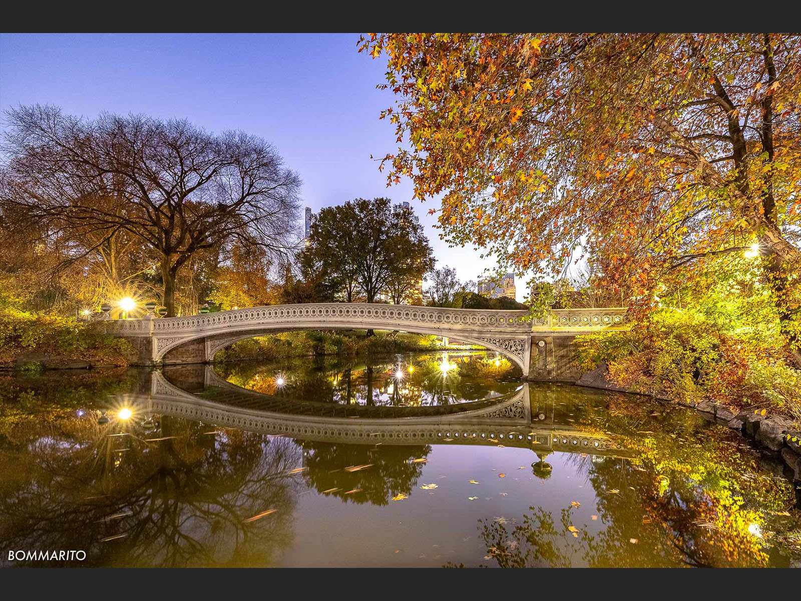 Autumn in Central Park