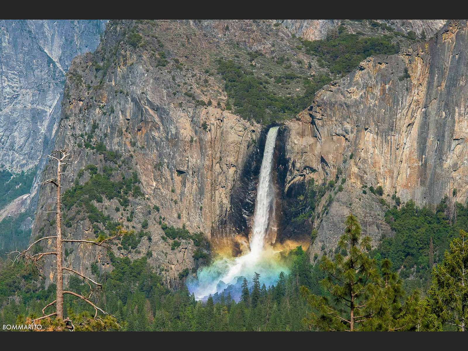 Bridalveil Mist Bow