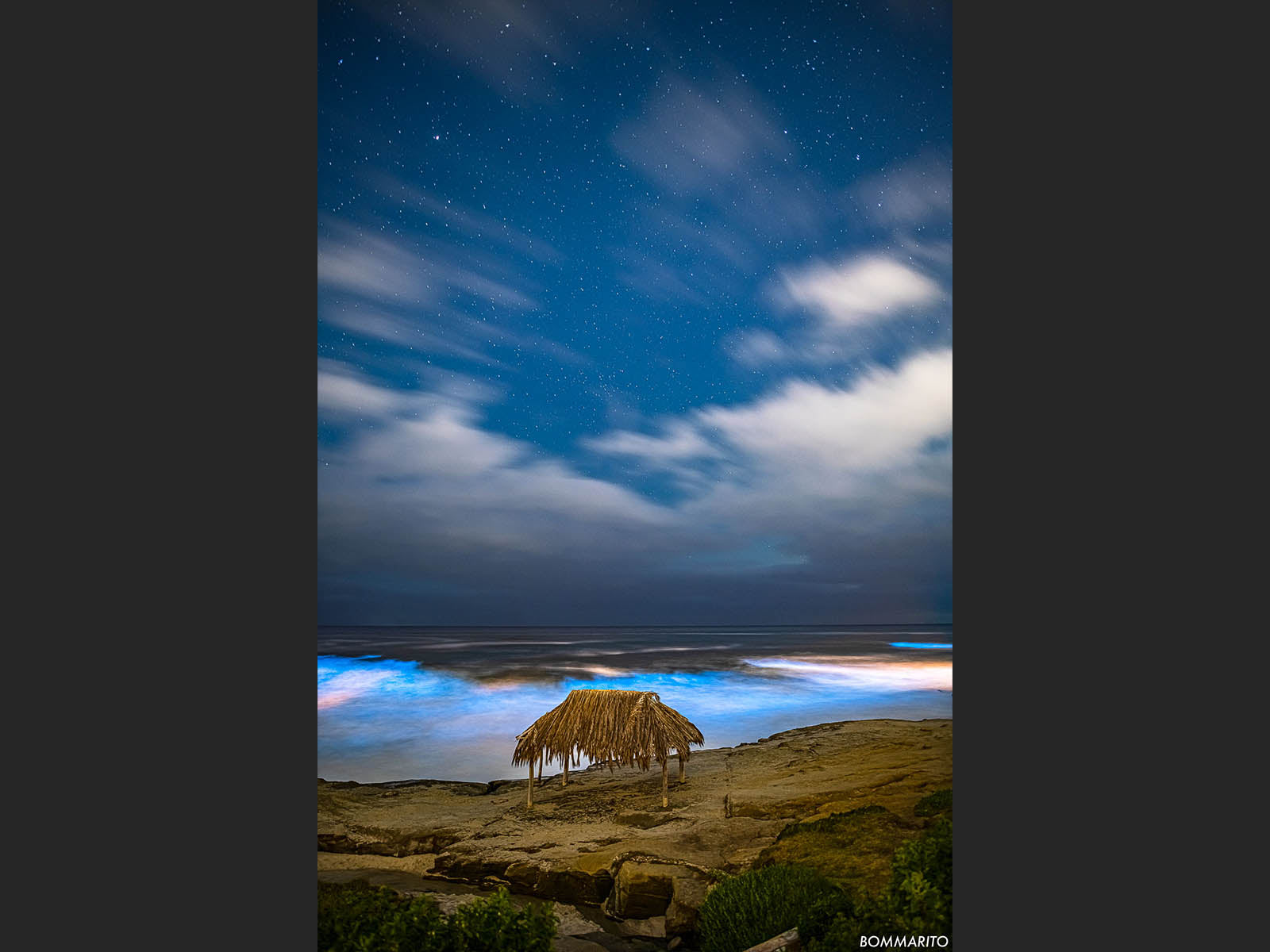 Bioluminescent Surf Shack