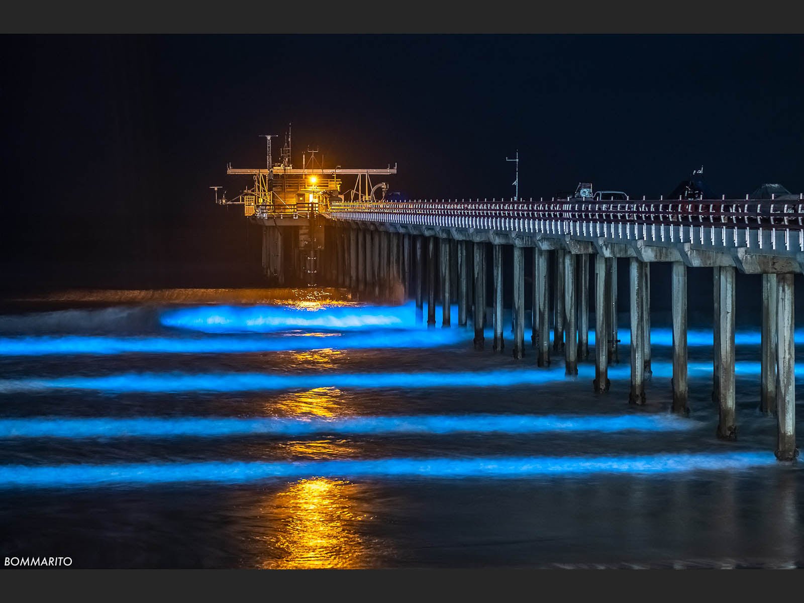 Bioluminescent Swells