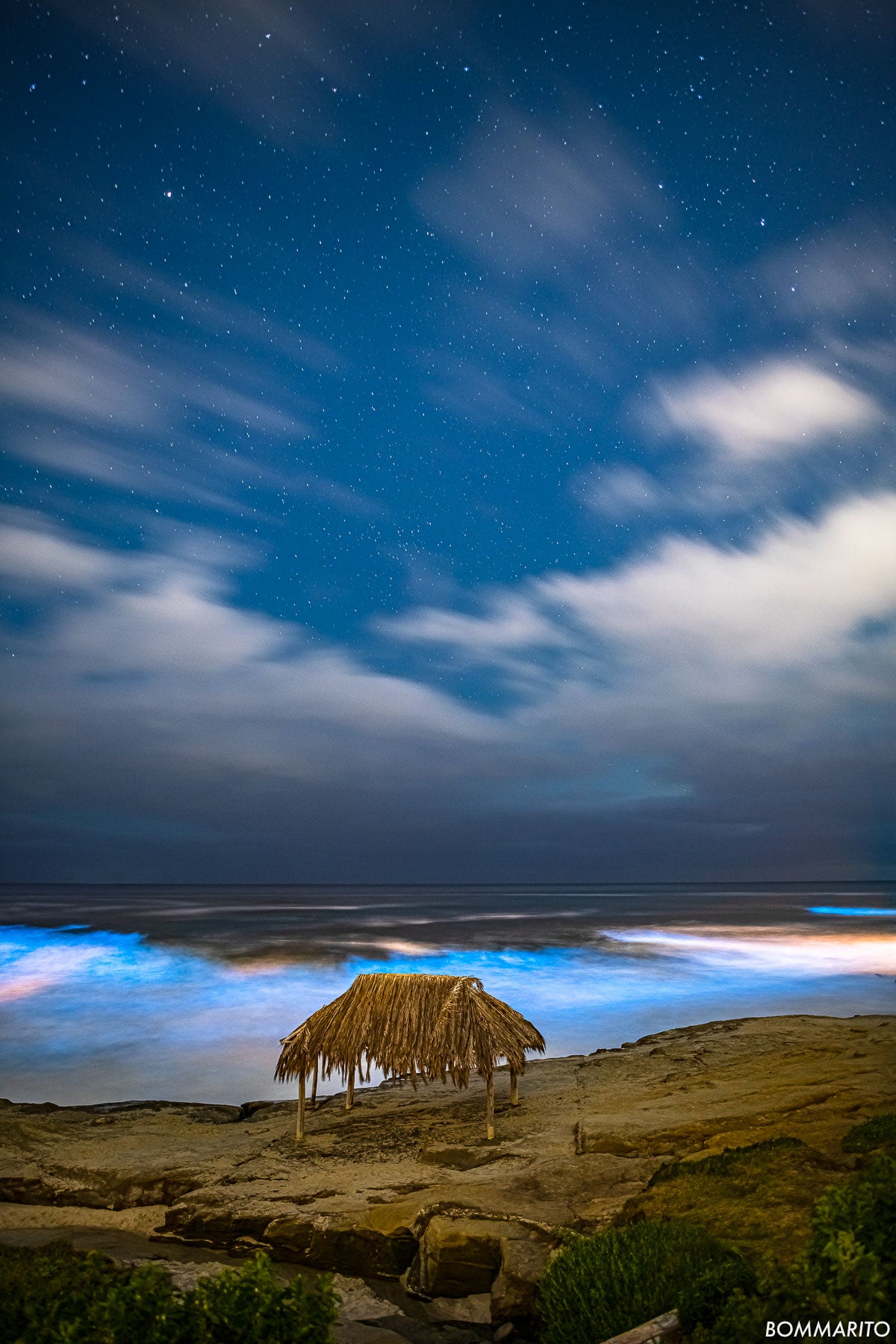 Bioluminescent Surf Shack