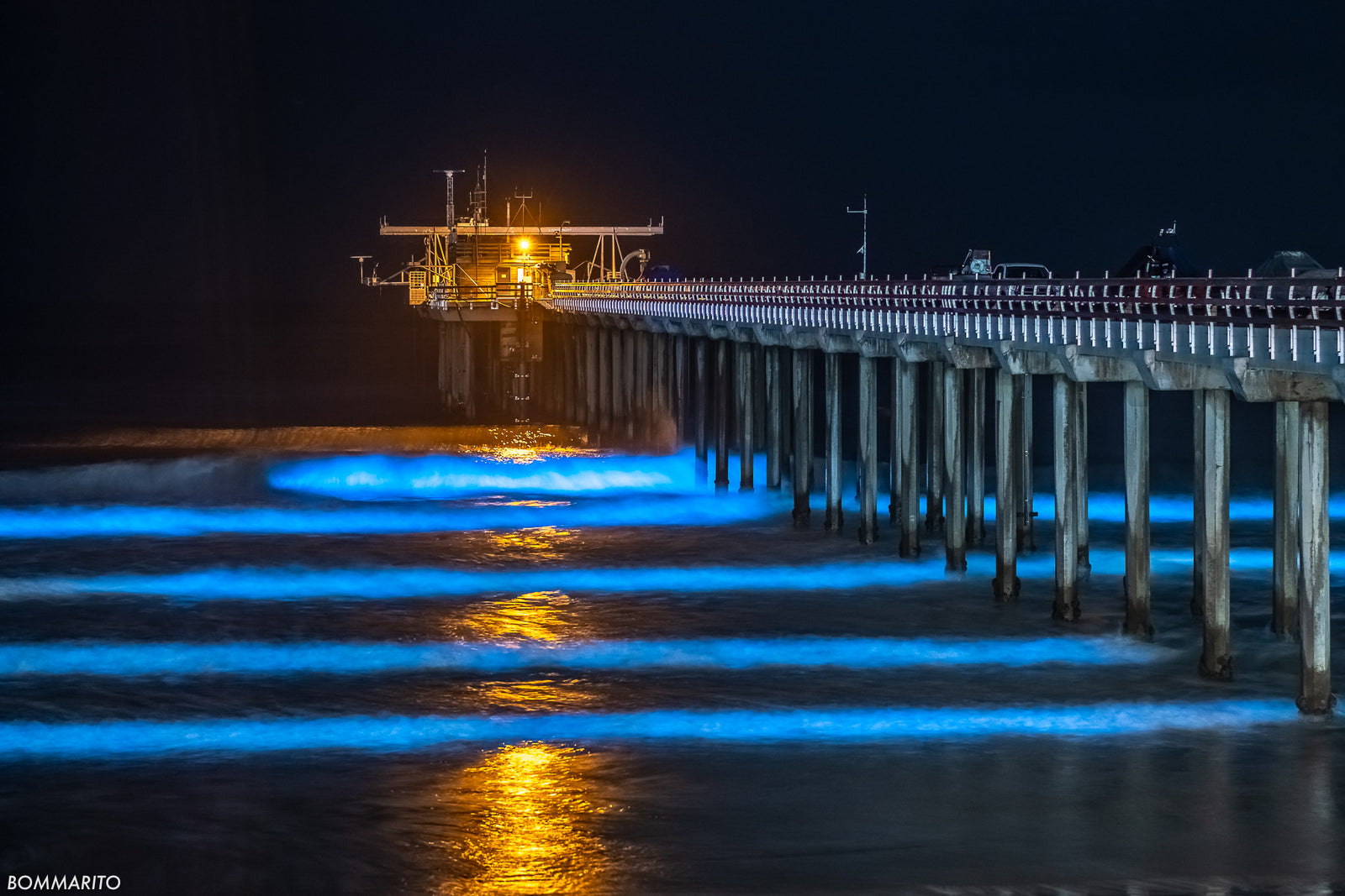 Bioluminescent Swells