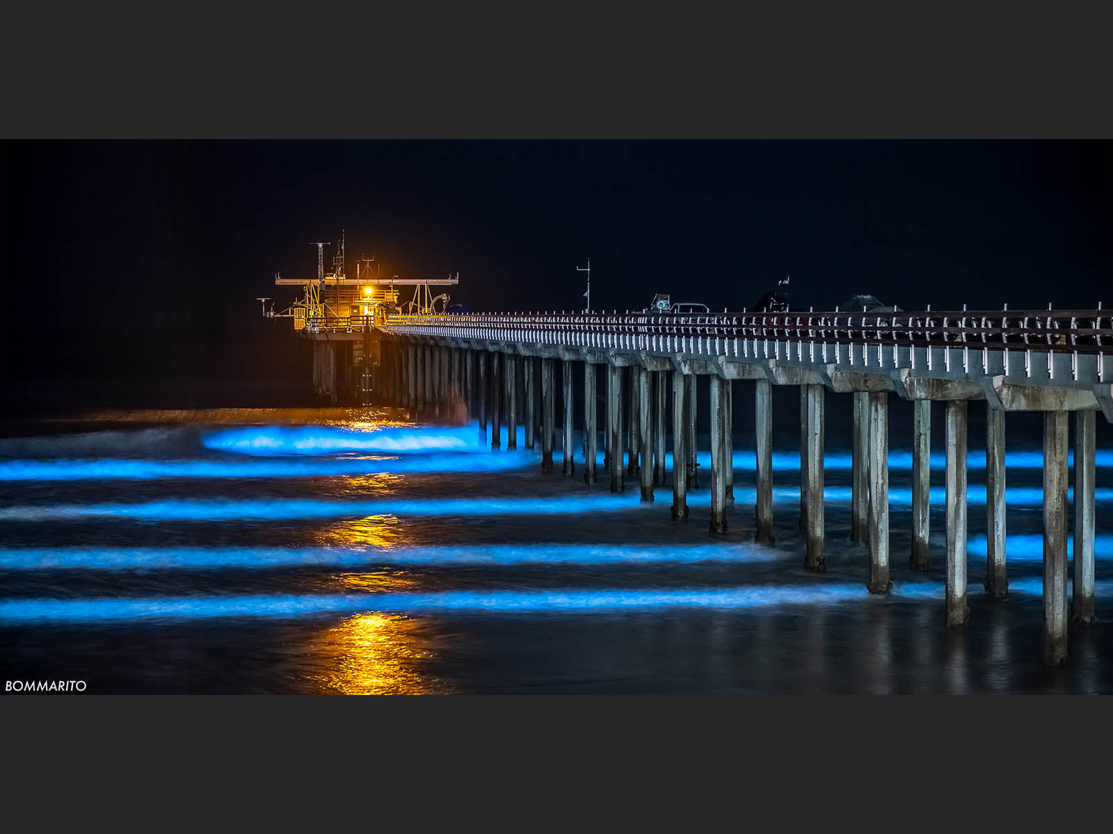 Bioluminescent Swells Panoramic