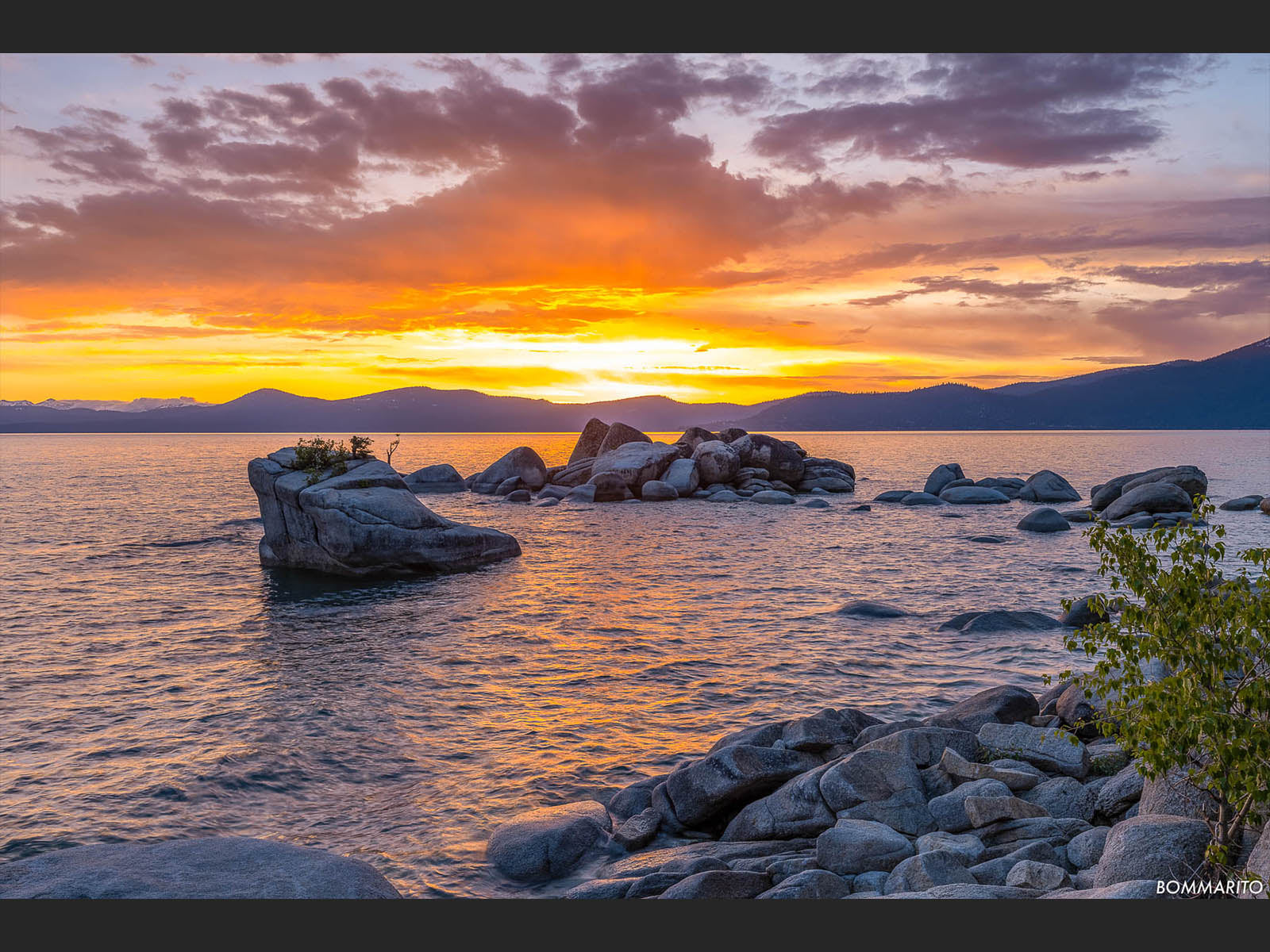 Bonsai Rock Sunset