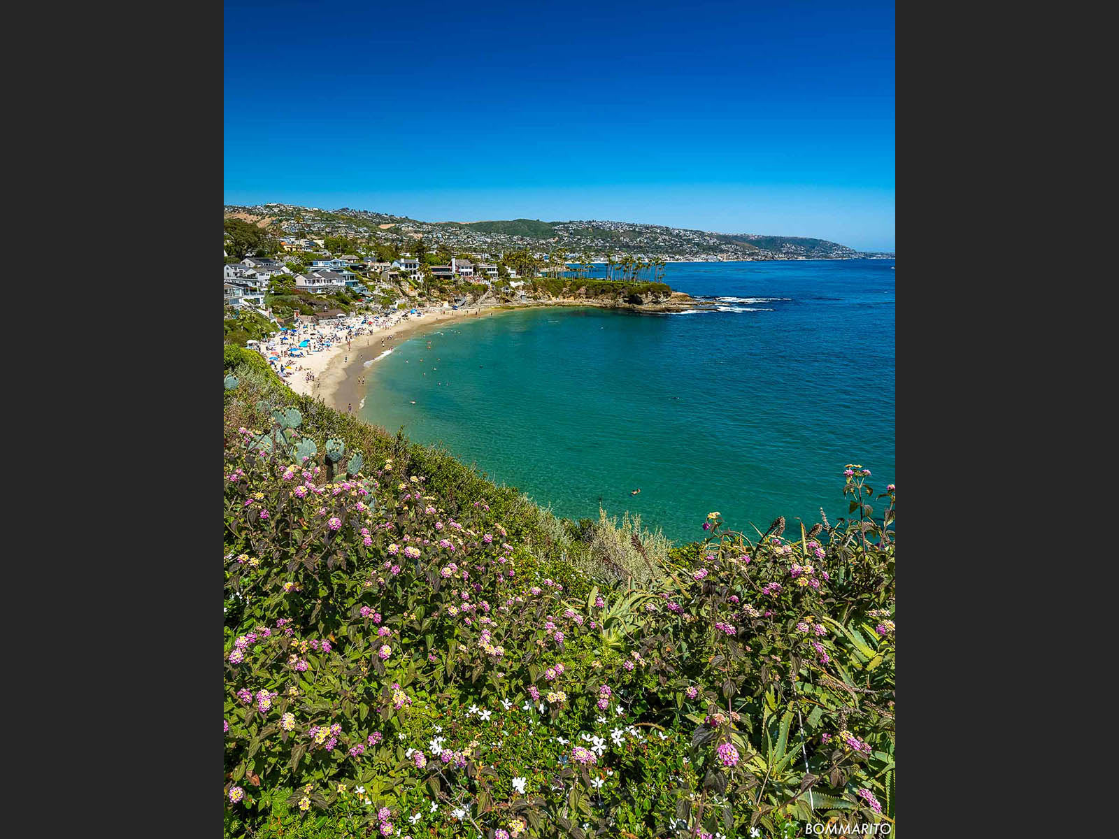 Crescent Bay Tranquility