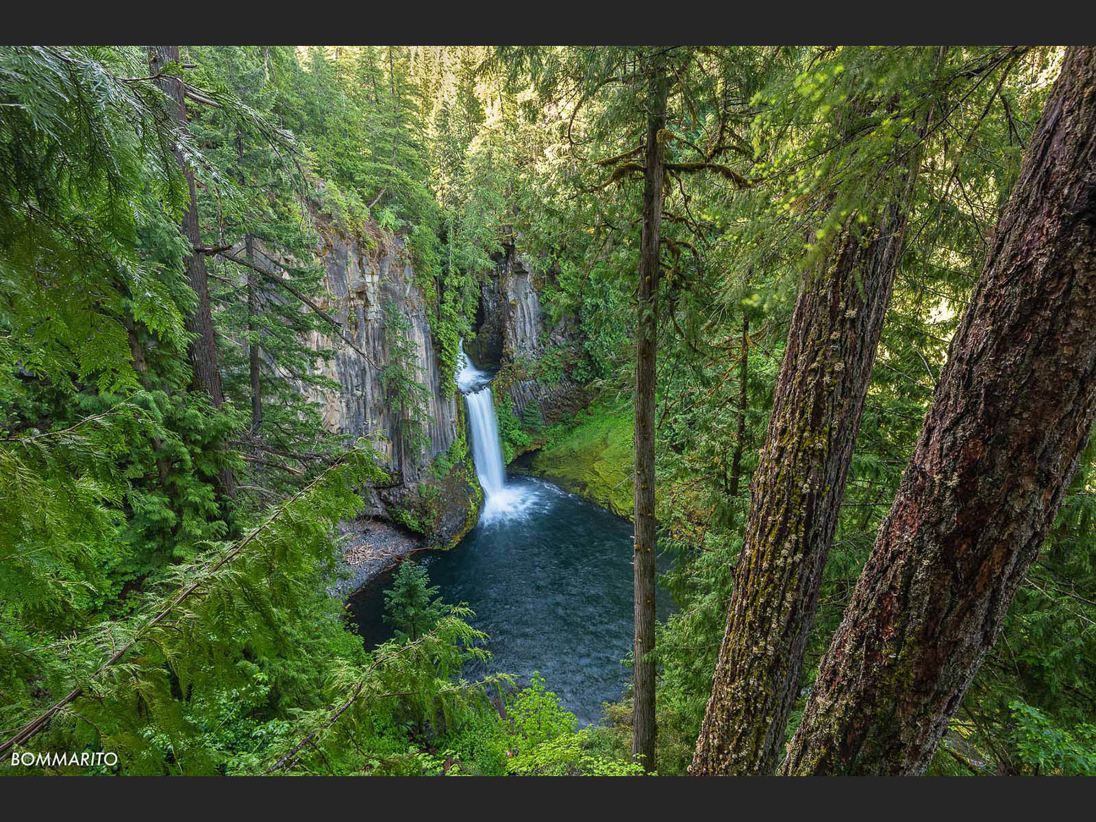 National Forest Cascades