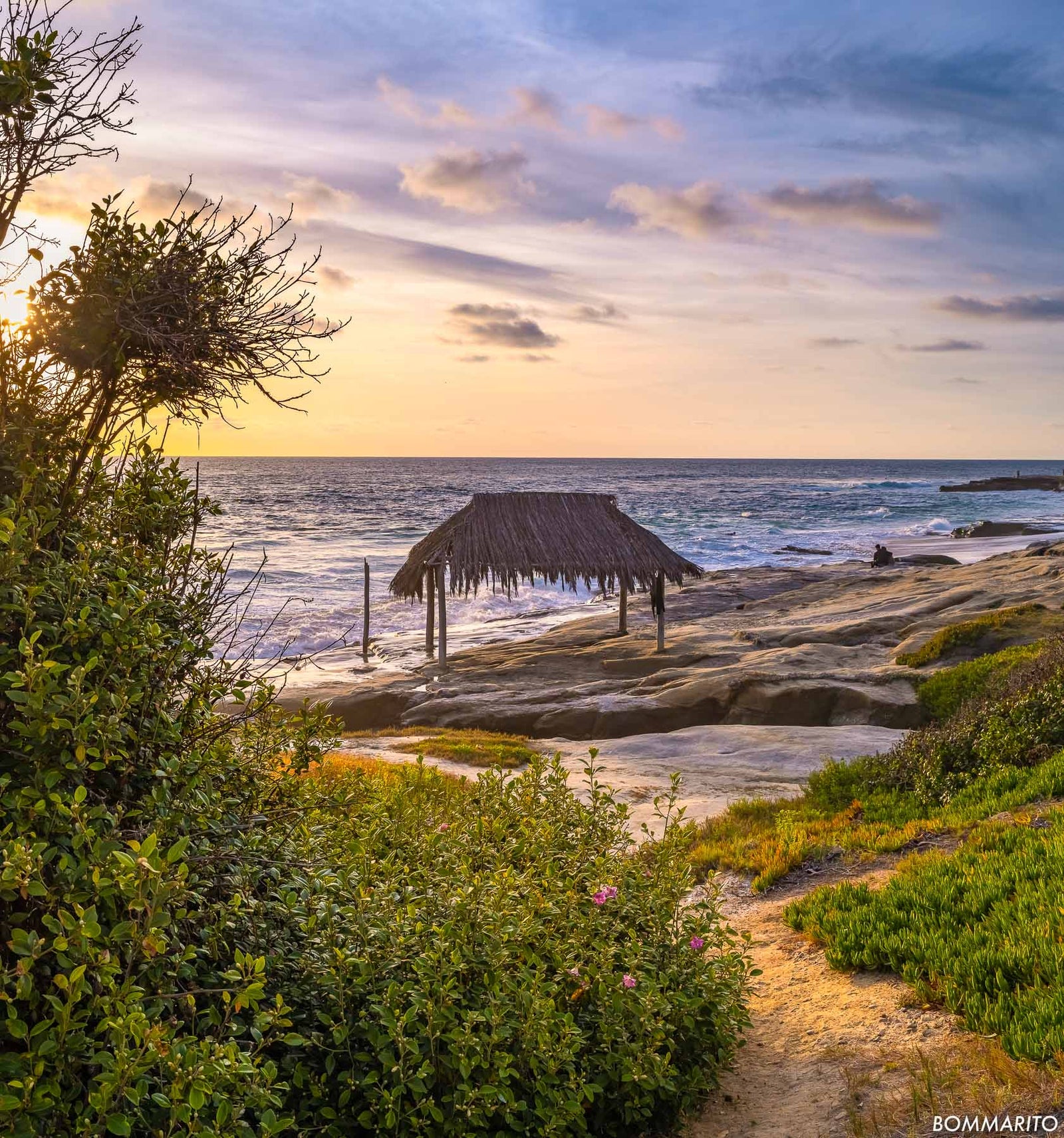 Pathway to Windansea