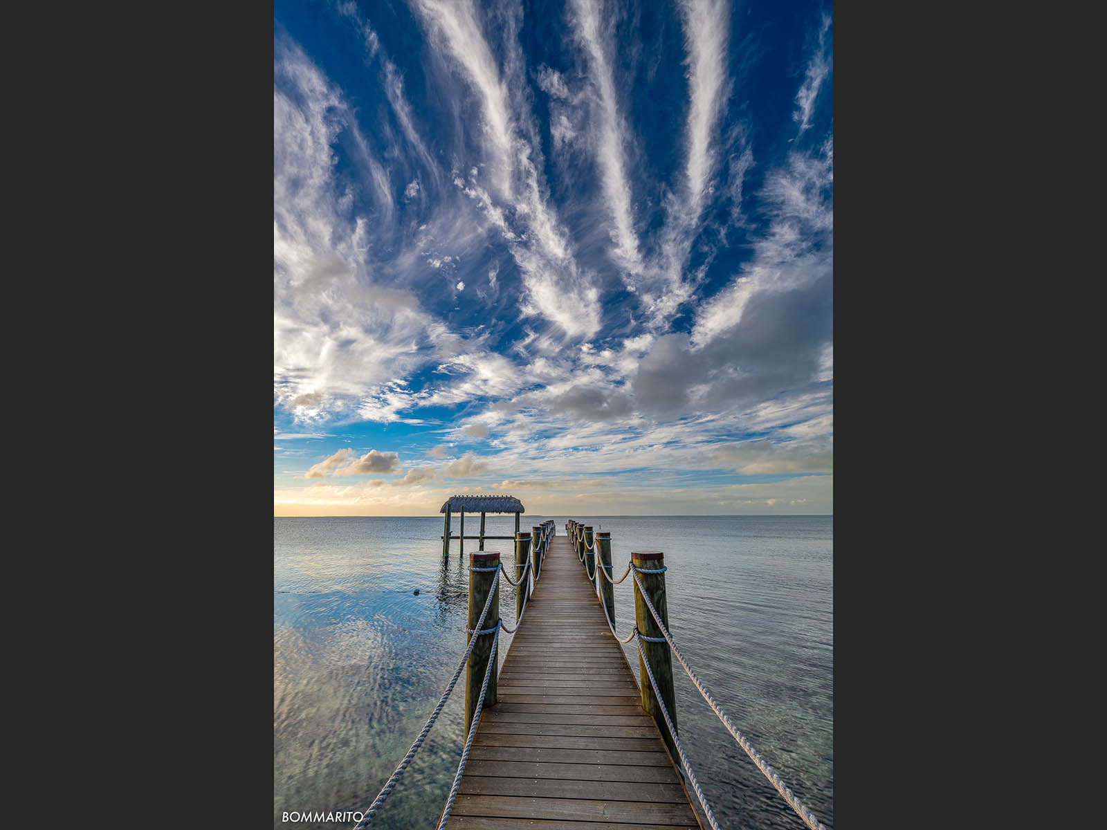 Feathers of Twilight