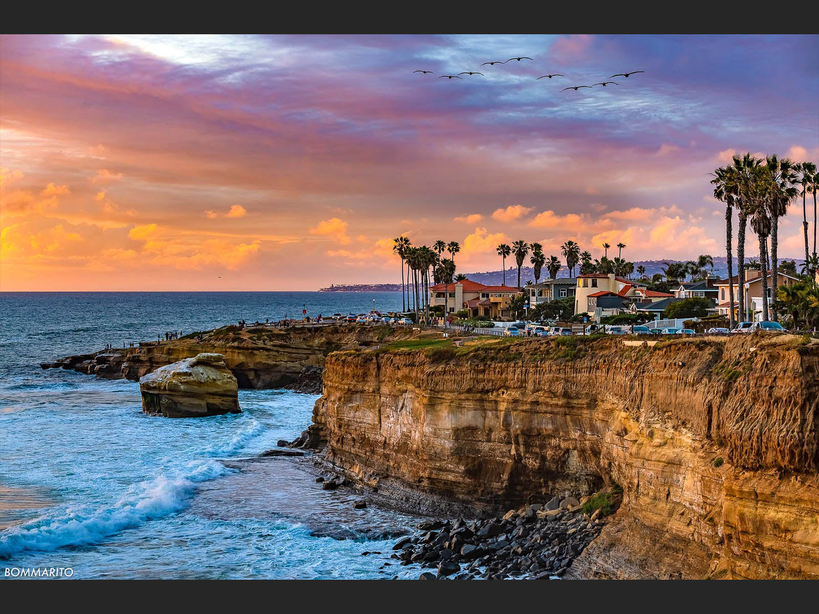 Pelicans at Sunset Cliffs