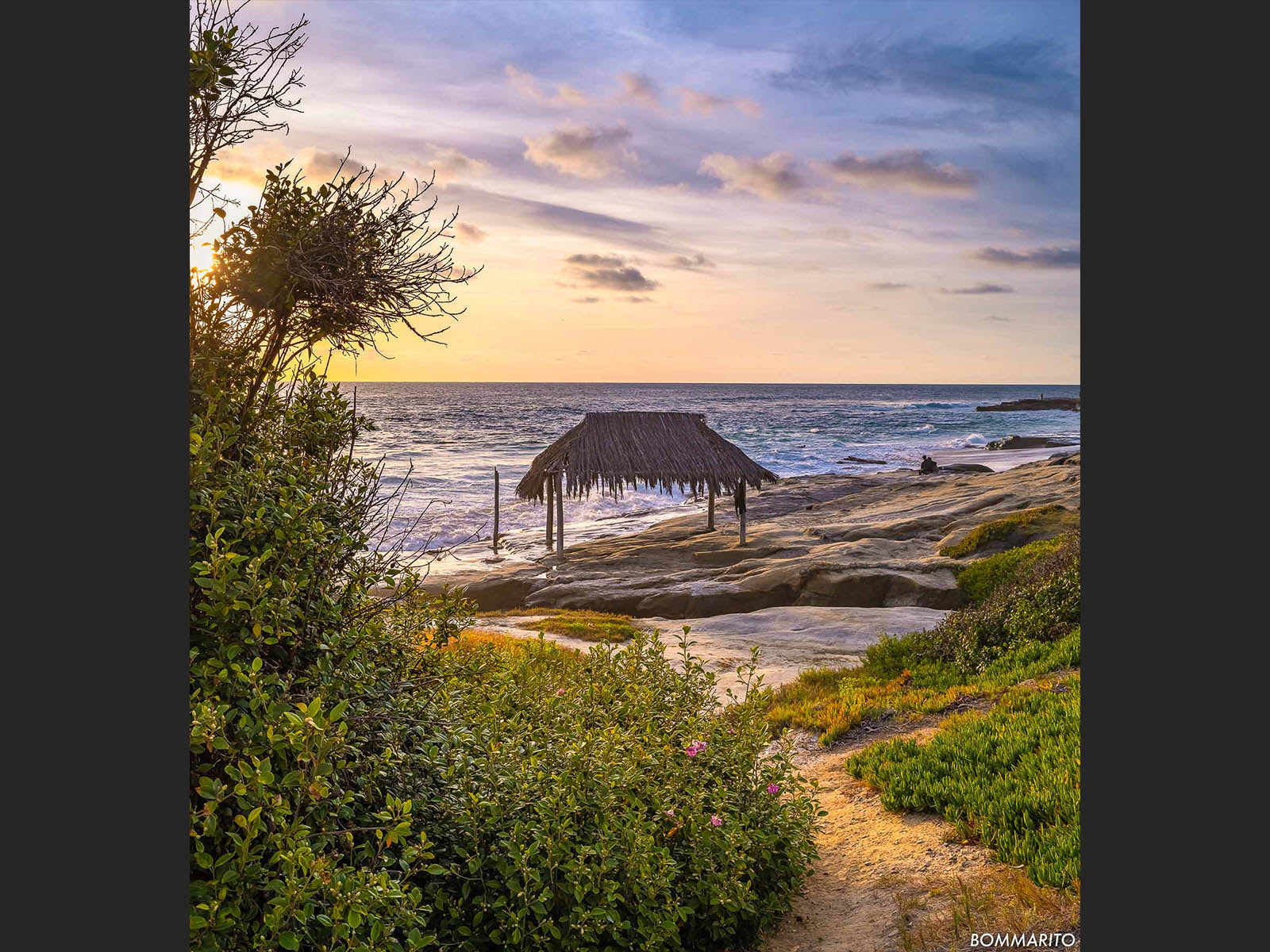 Pathway to Windansea