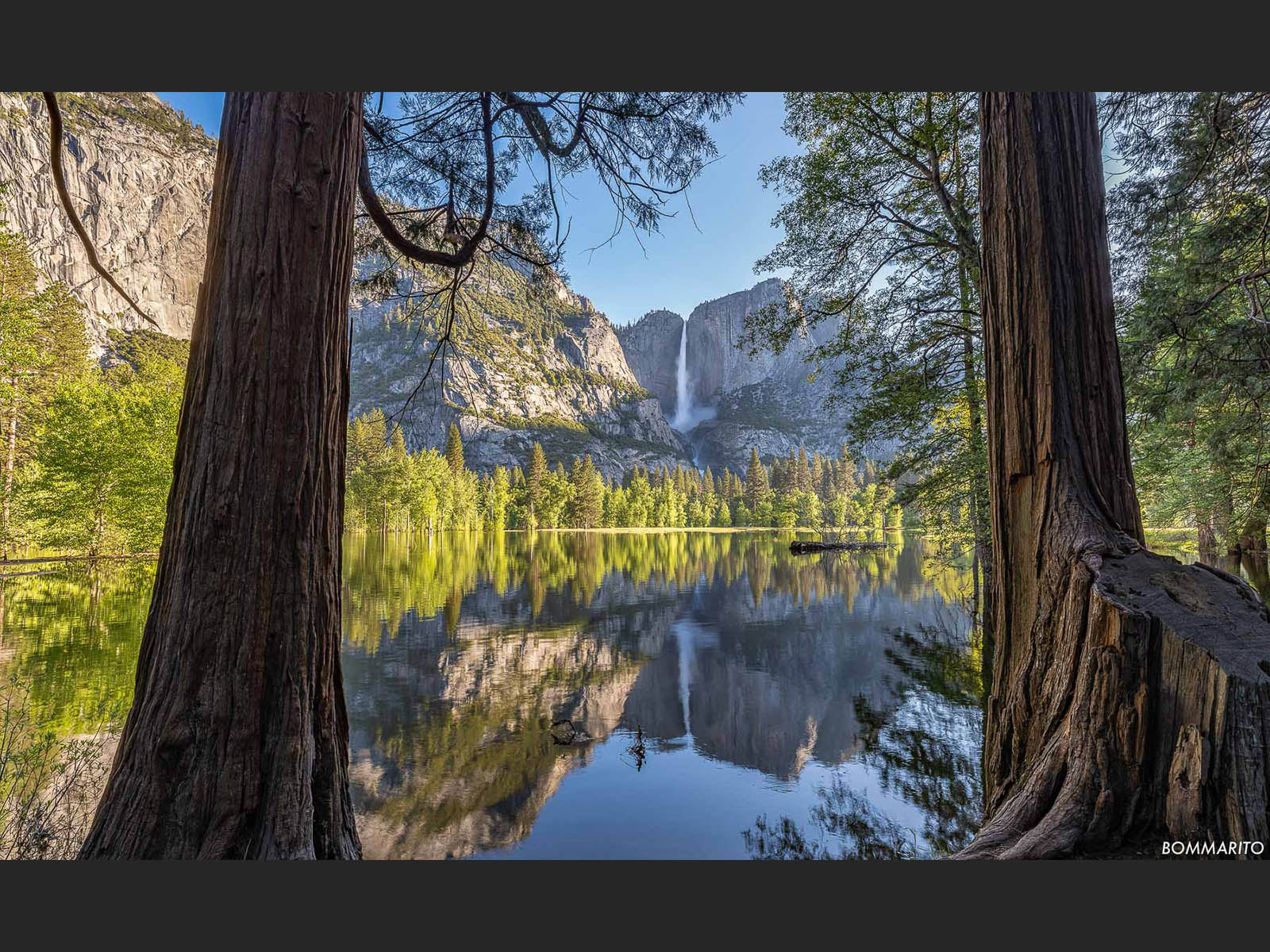 Pristine Reflections