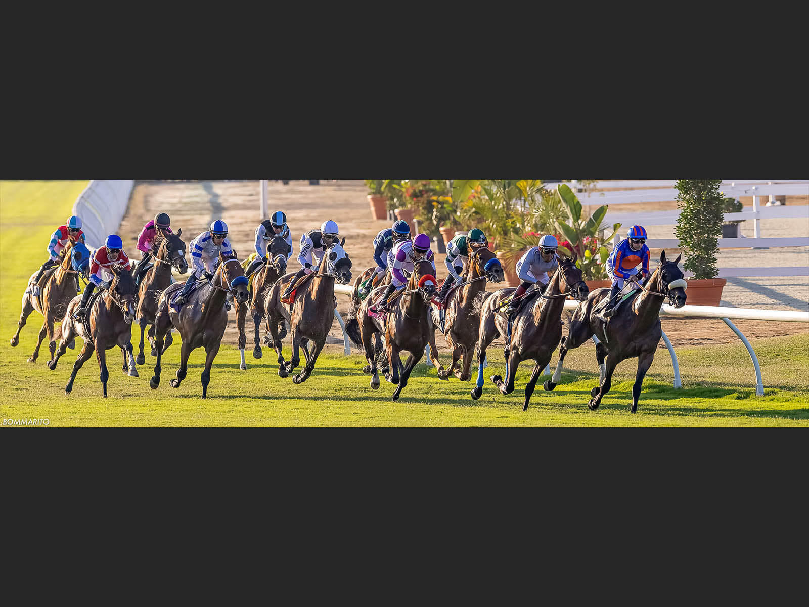 Race 10 - Opening Day