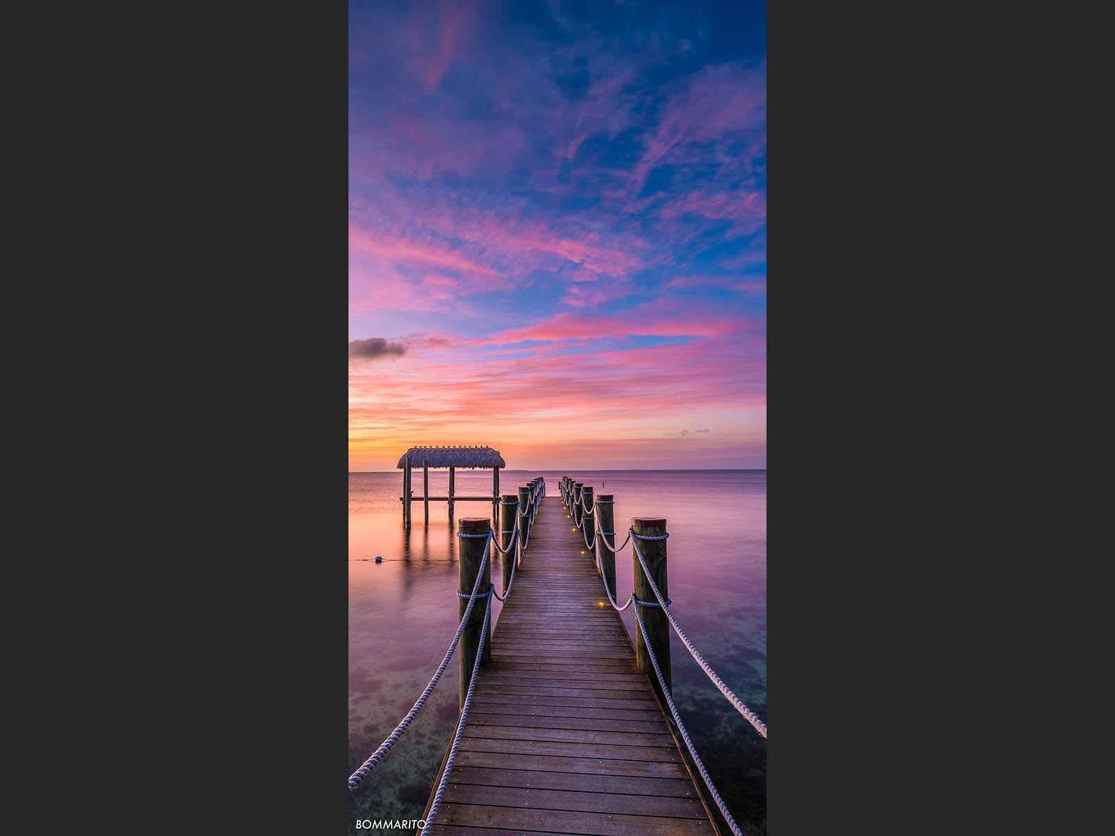 Tropical Tranquility