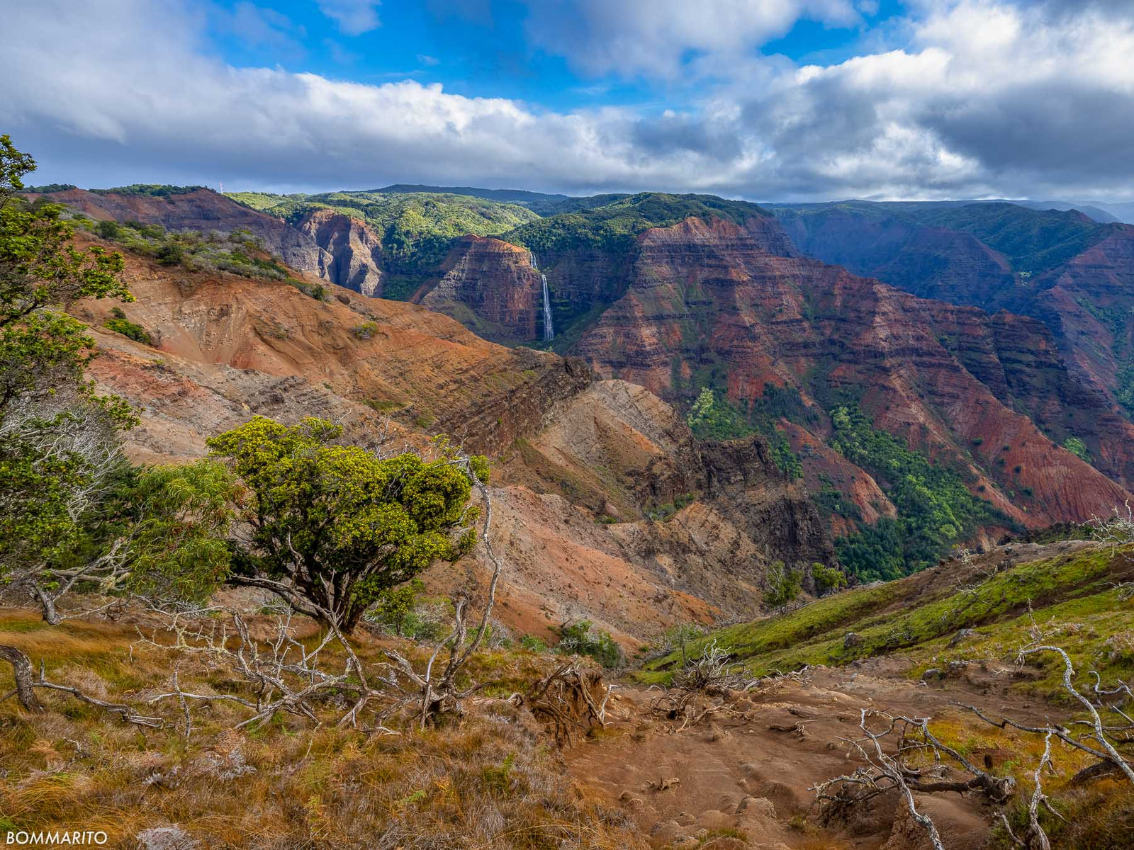 Scenic Waimea Canyon