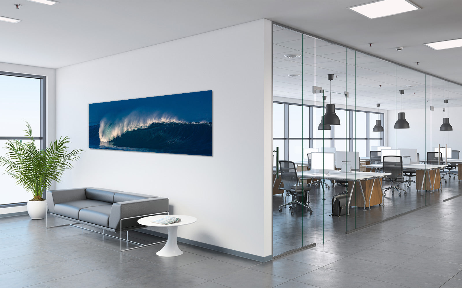 Tropical Reef - Office