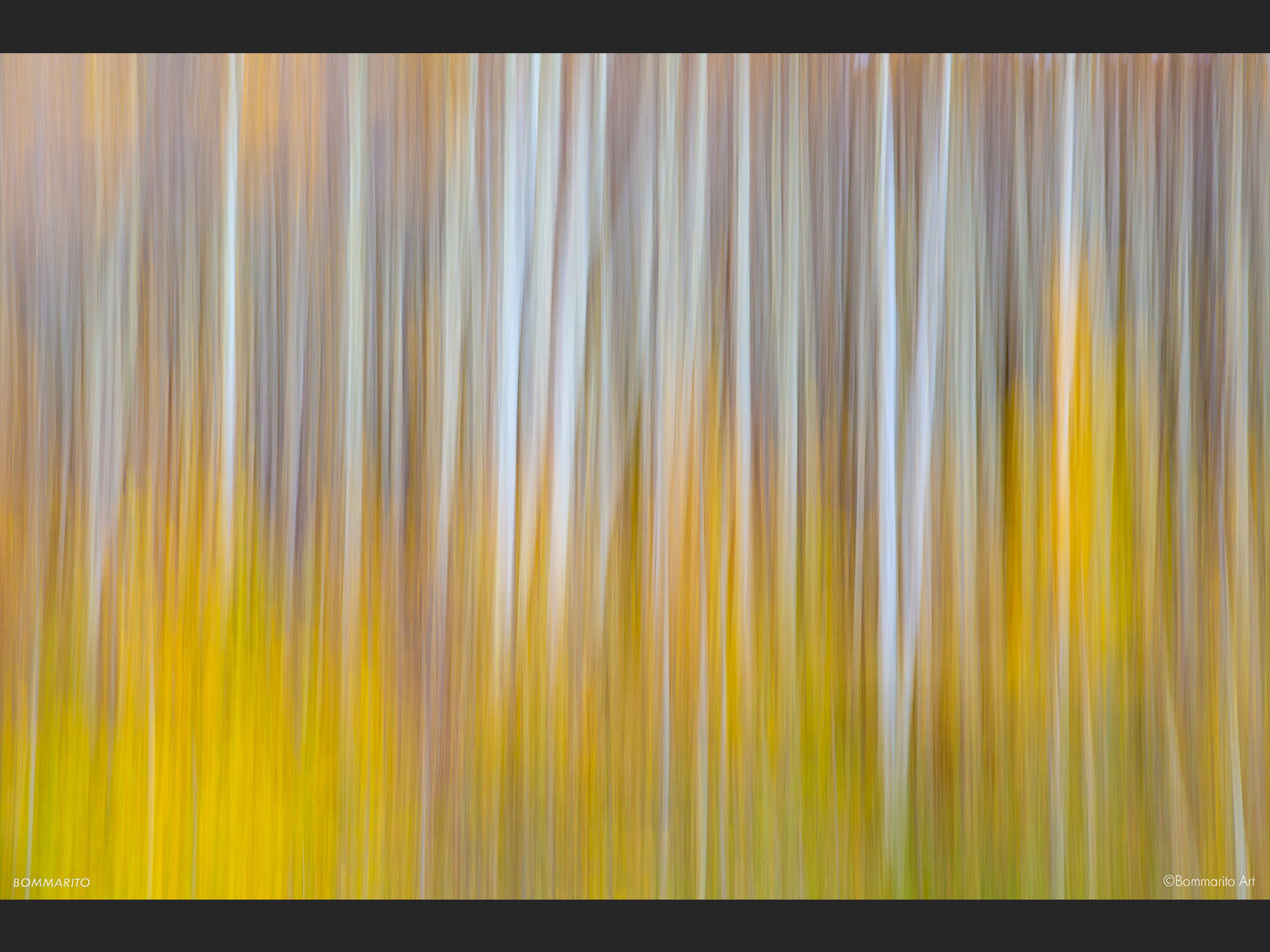 Aspen Brushstrokes