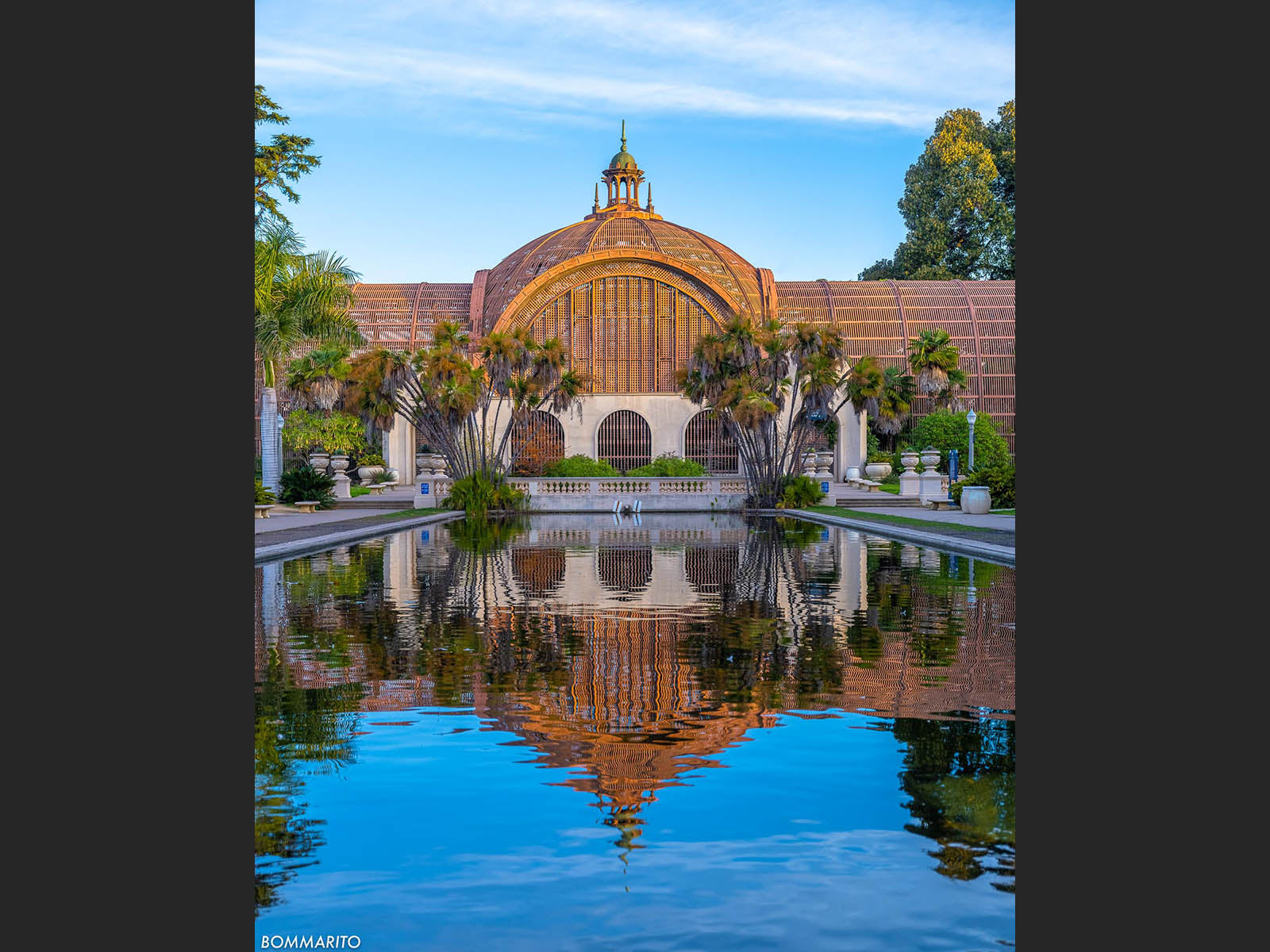 Botanical Reflections