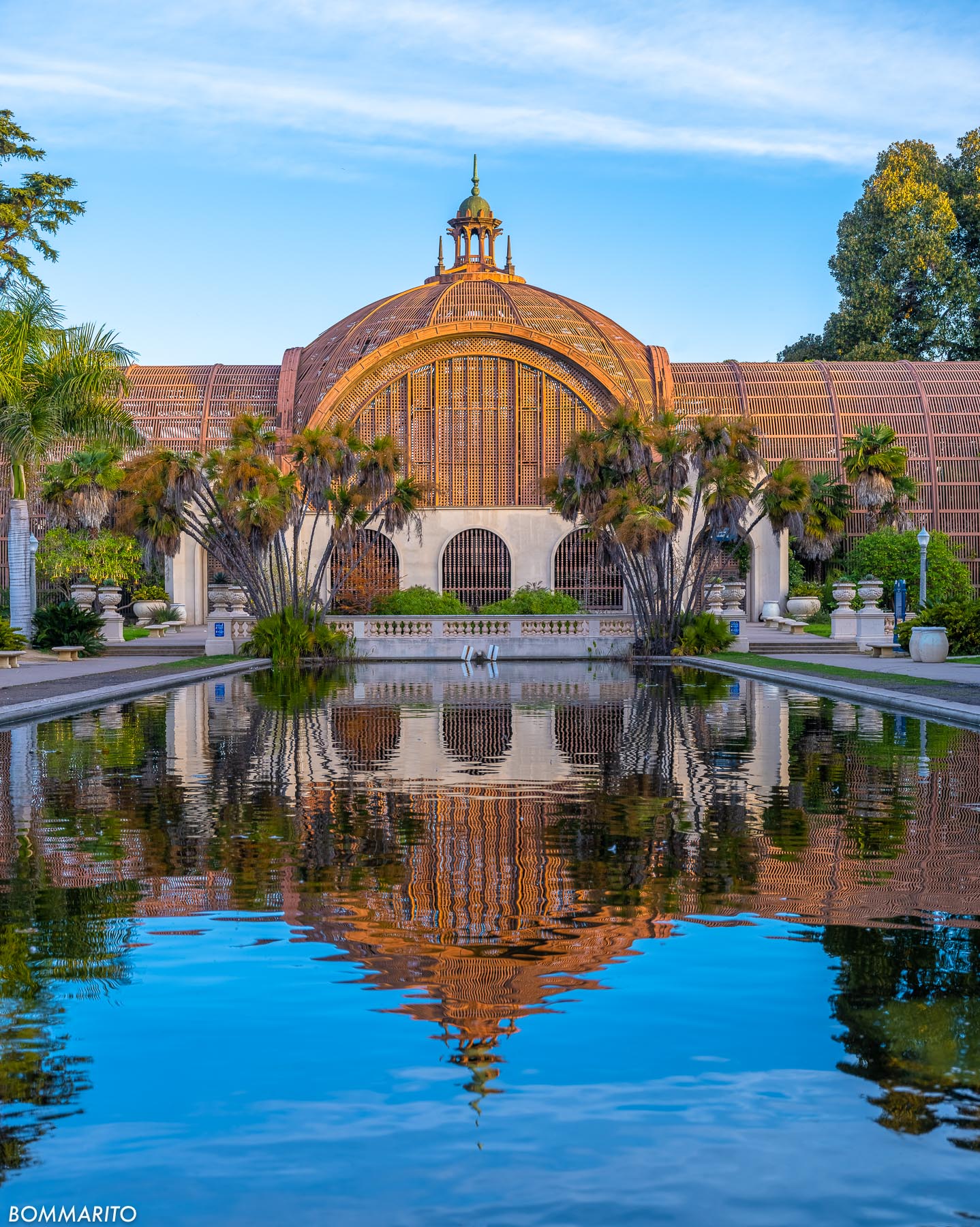 Botanical Reflections