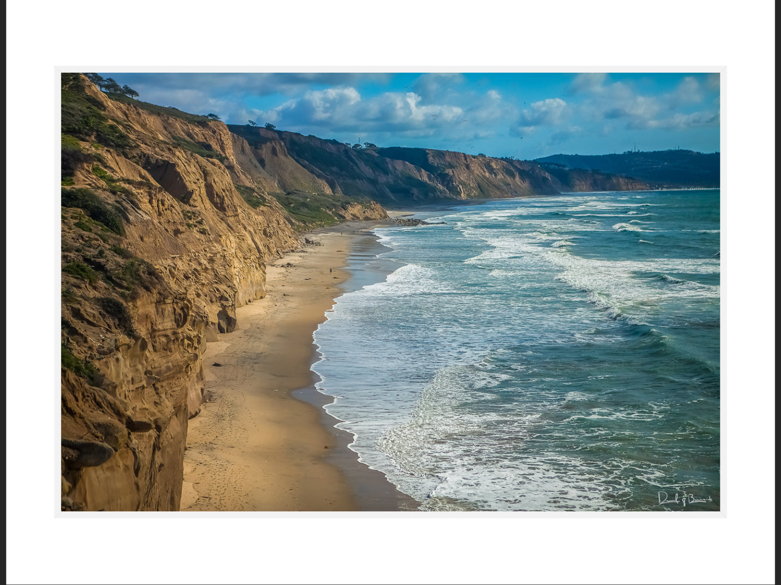 Classic Black's Beach