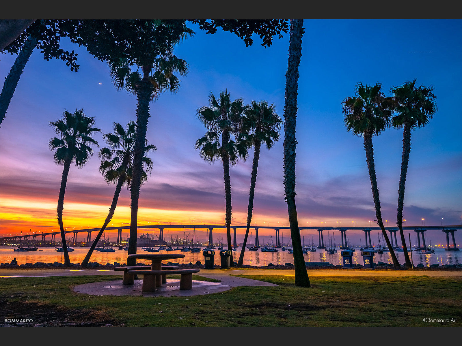 Coronado Palms