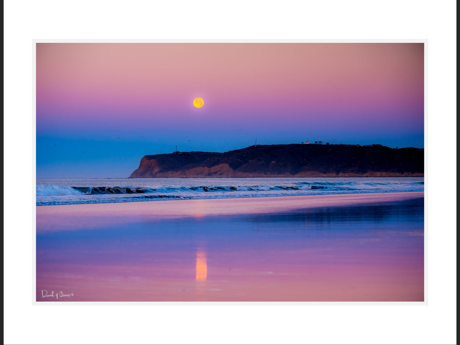 Coronado Moon
