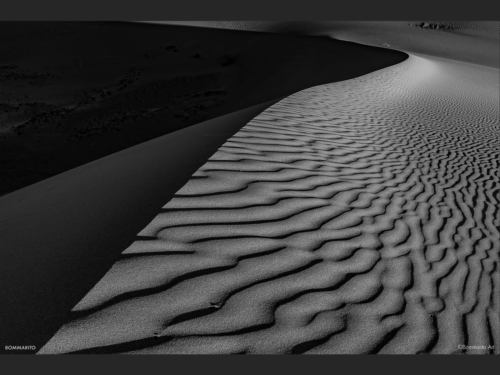 Dune Shadows
