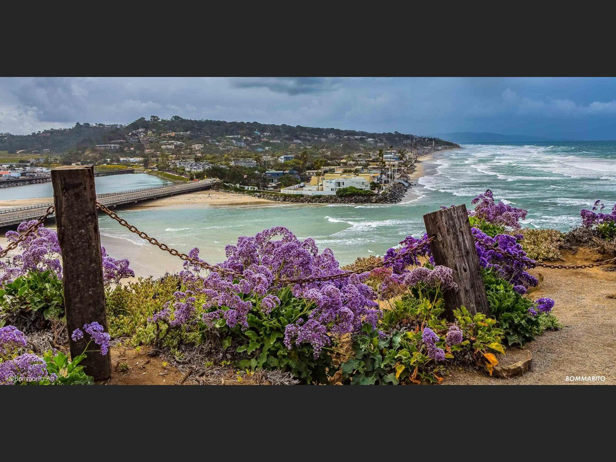 Del Mar Superbloom