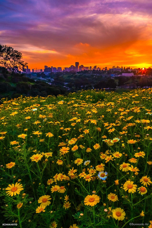 Downtown Flowers Bommarito Art