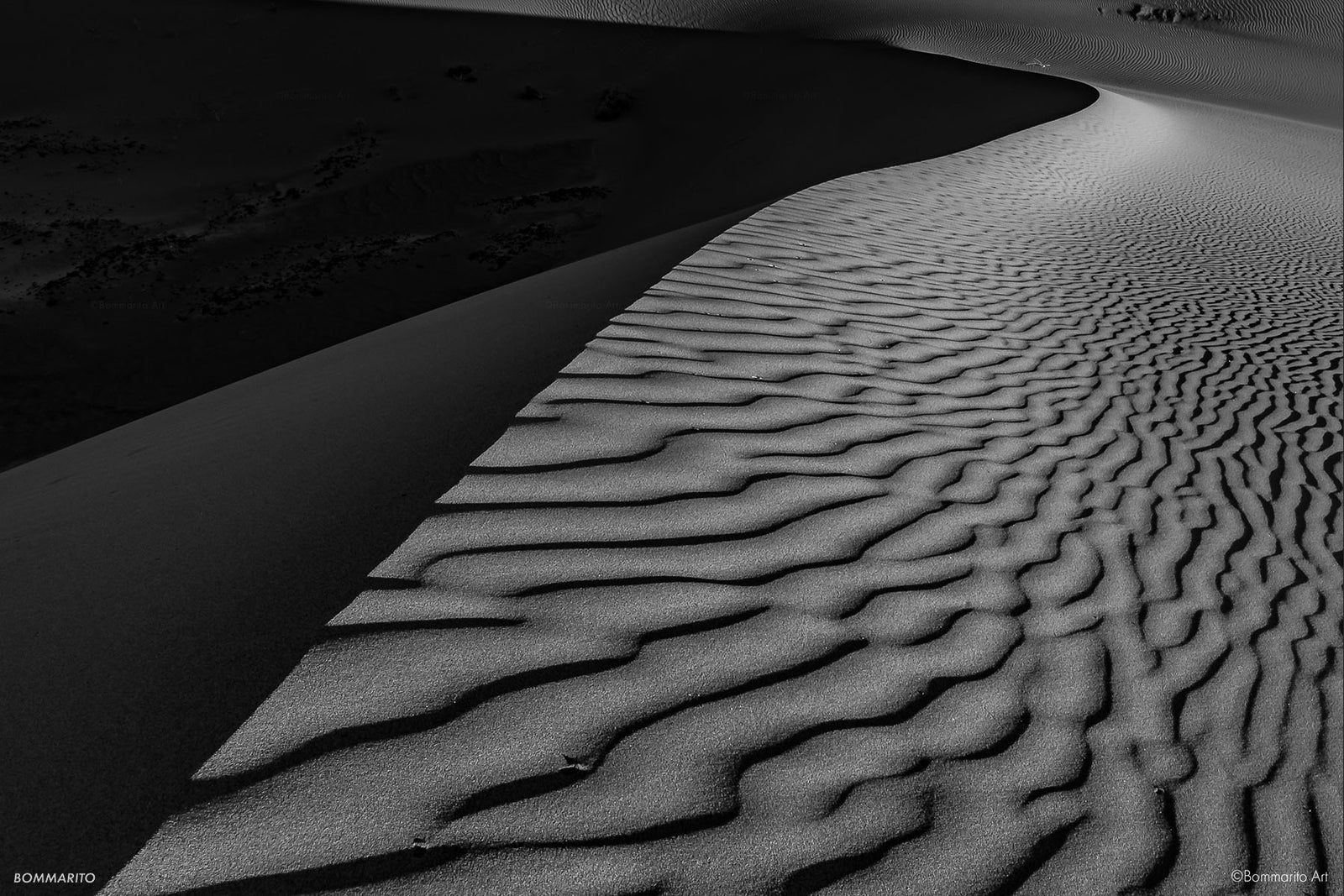 Dune Shadows