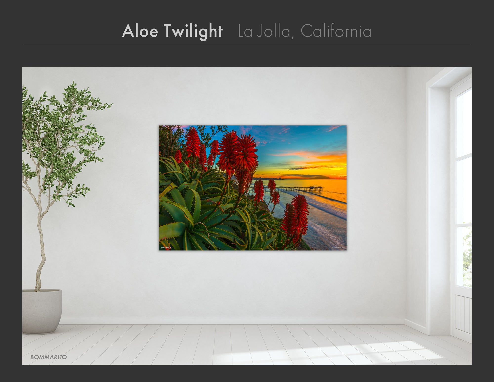 La Jolla Collection - Best Sellers and Artist Favorites (2)