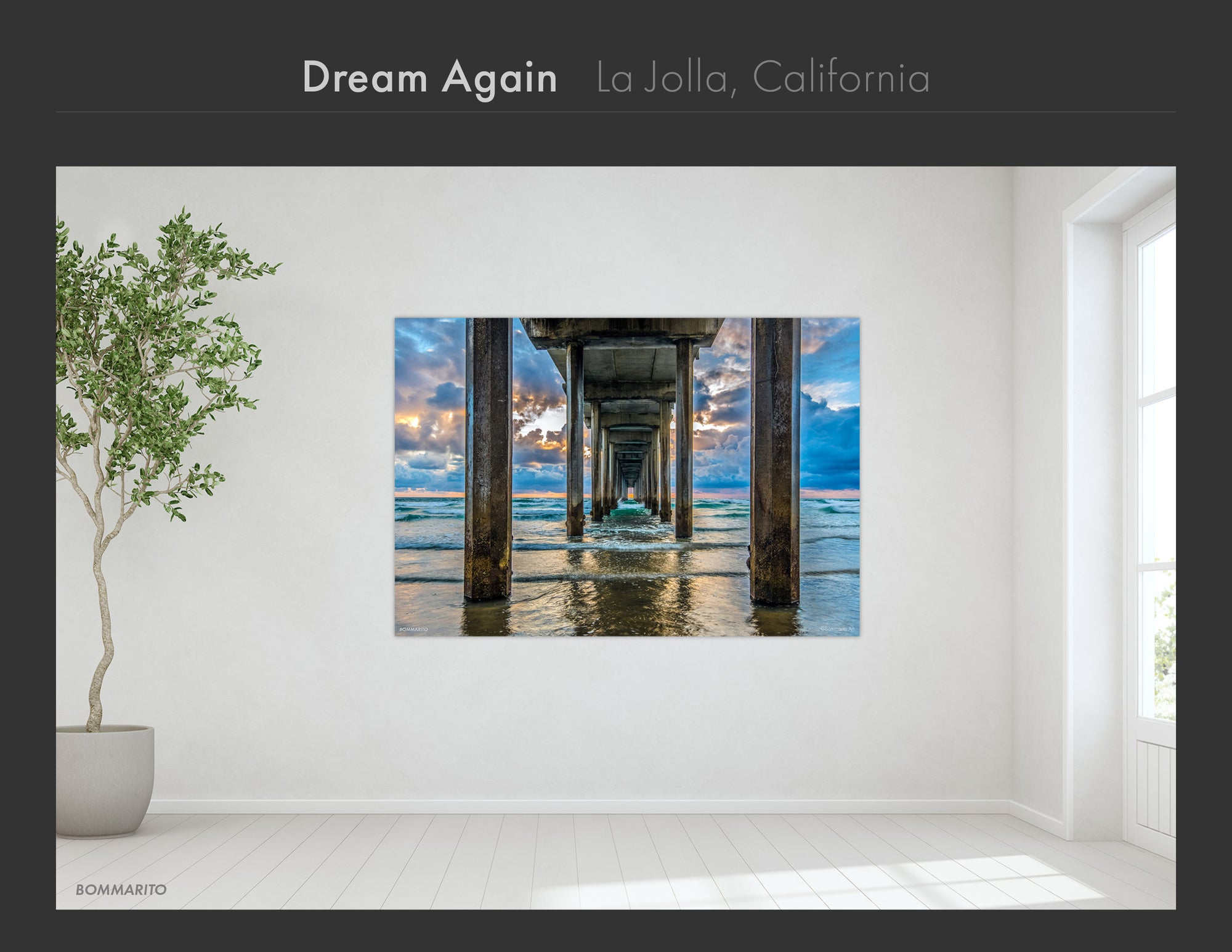 La Jolla Collection - Best Sellers and Artist Favorites (2)