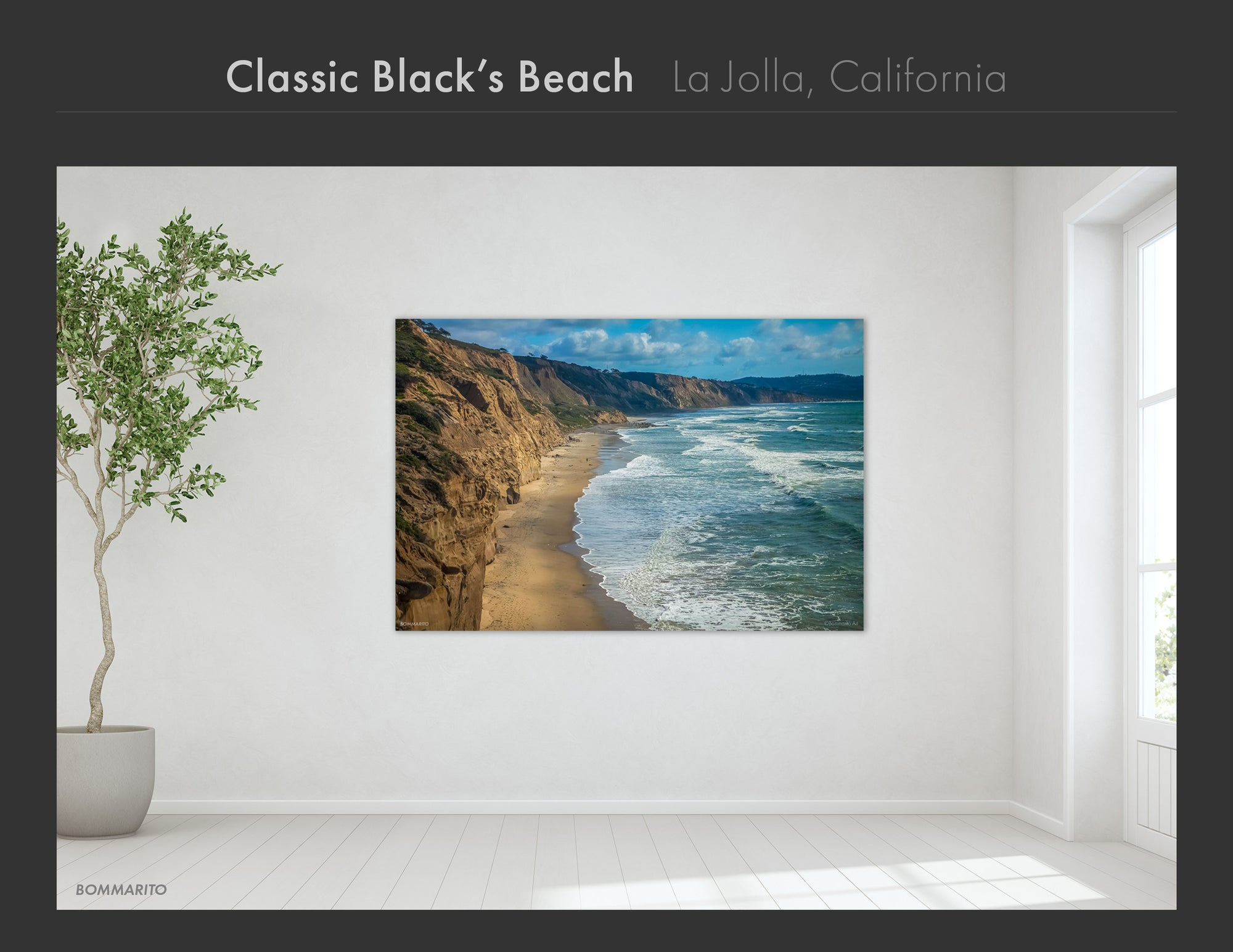 La Jolla Collection - Best Sellers and Artist Favorites (2)
