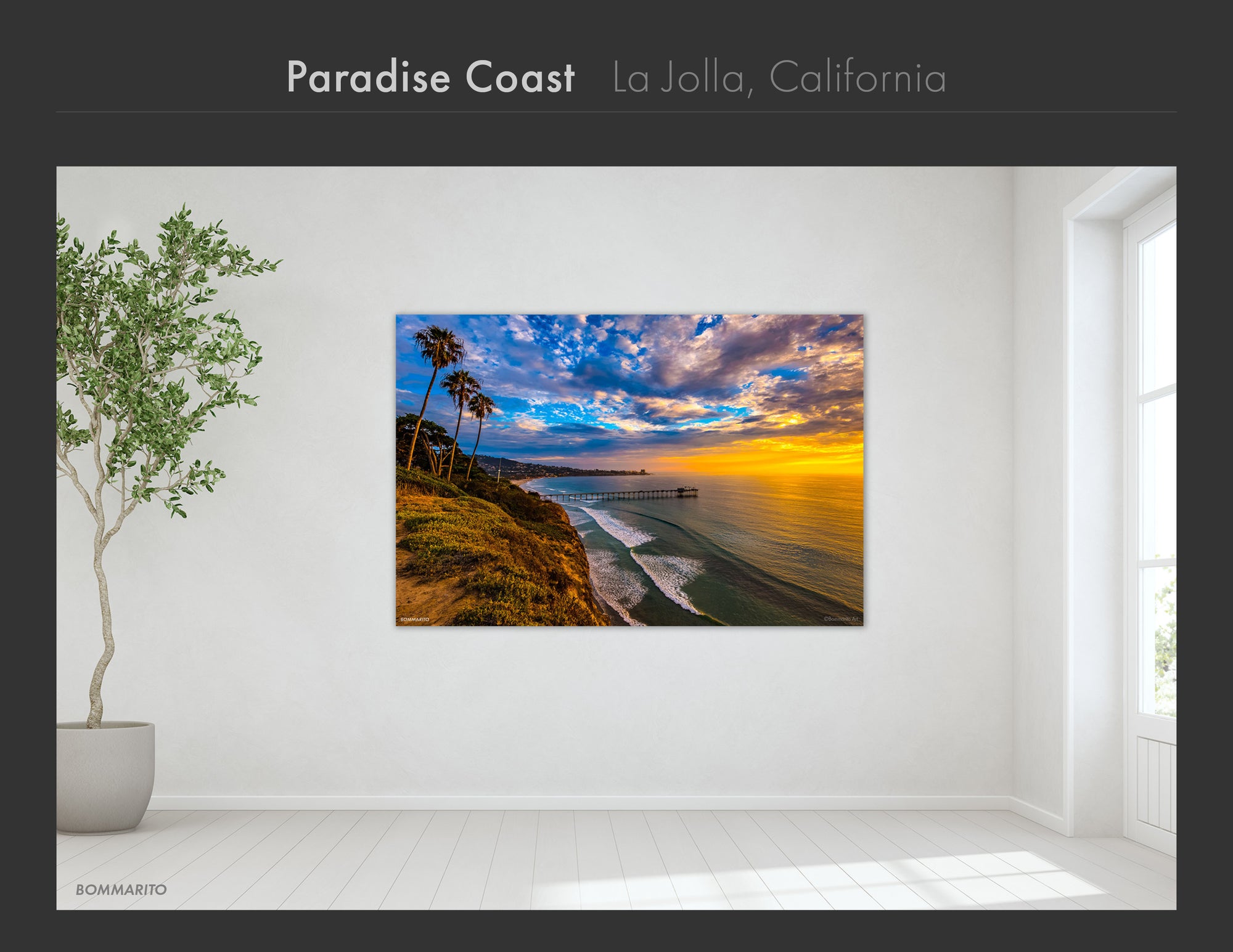 La Jolla Collection - Best Sellers and Artist Favorites (2)
