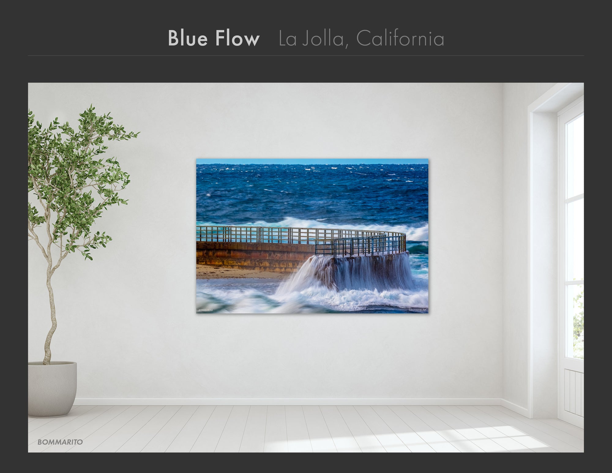 La Jolla Collection - Best Sellers and Artist Favorites (2)