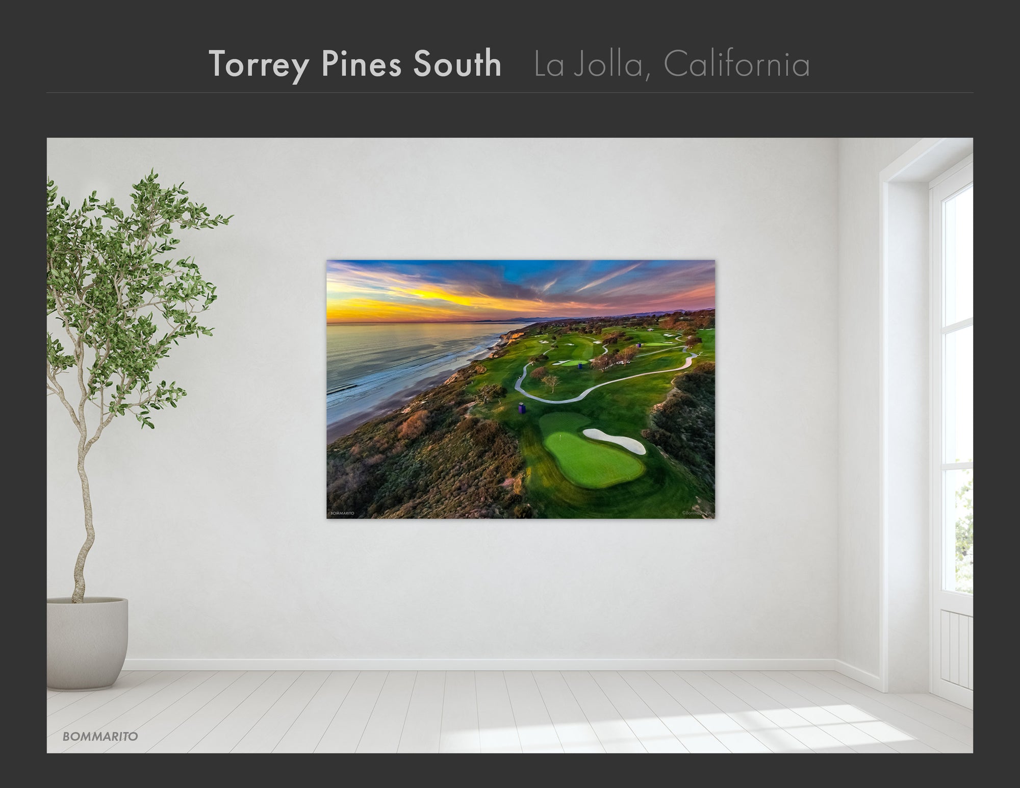 La Jolla Collection - Best Sellers and Artist Favorites (2)