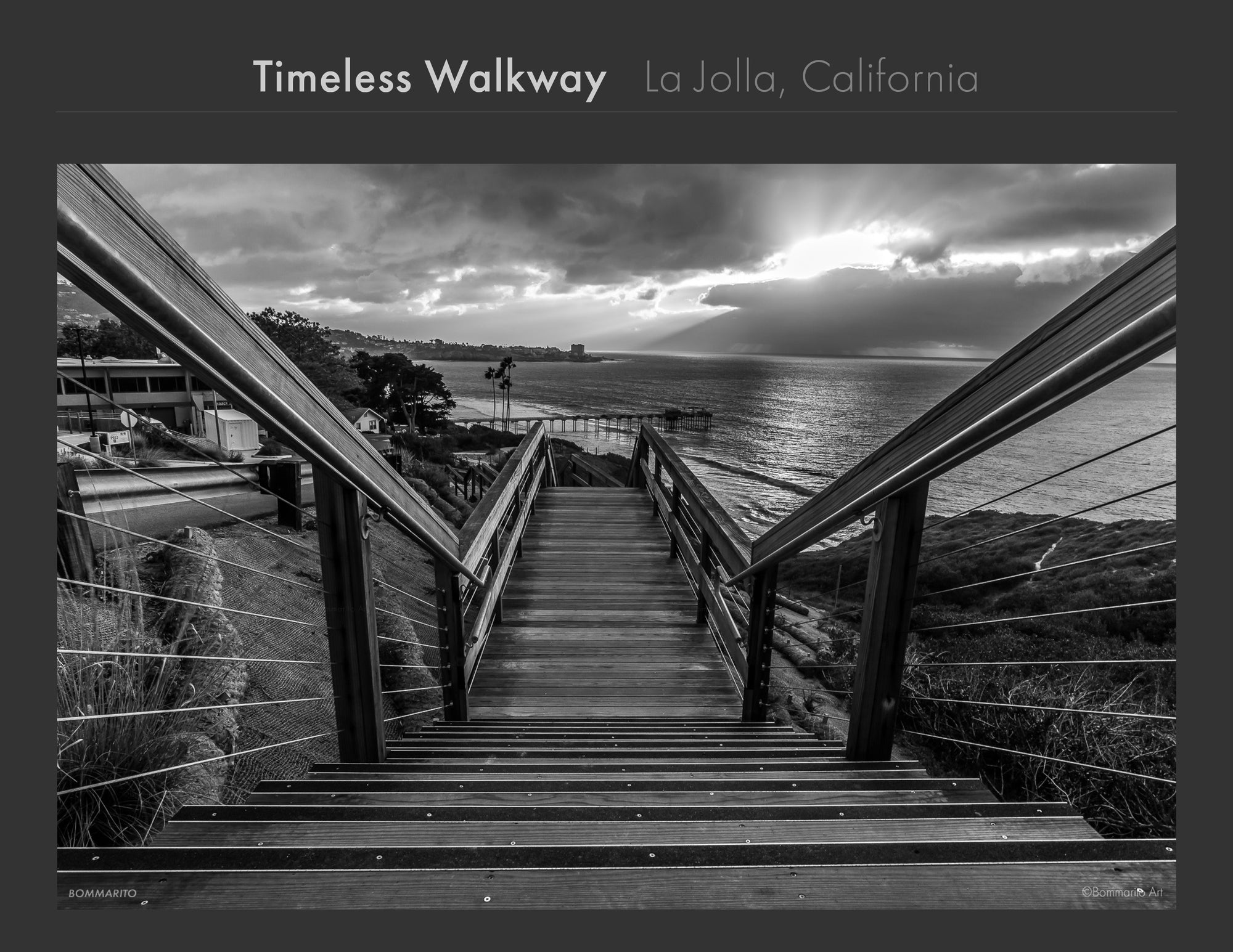 La Jolla Collection - Best Sellers and Artist Favorites (1)