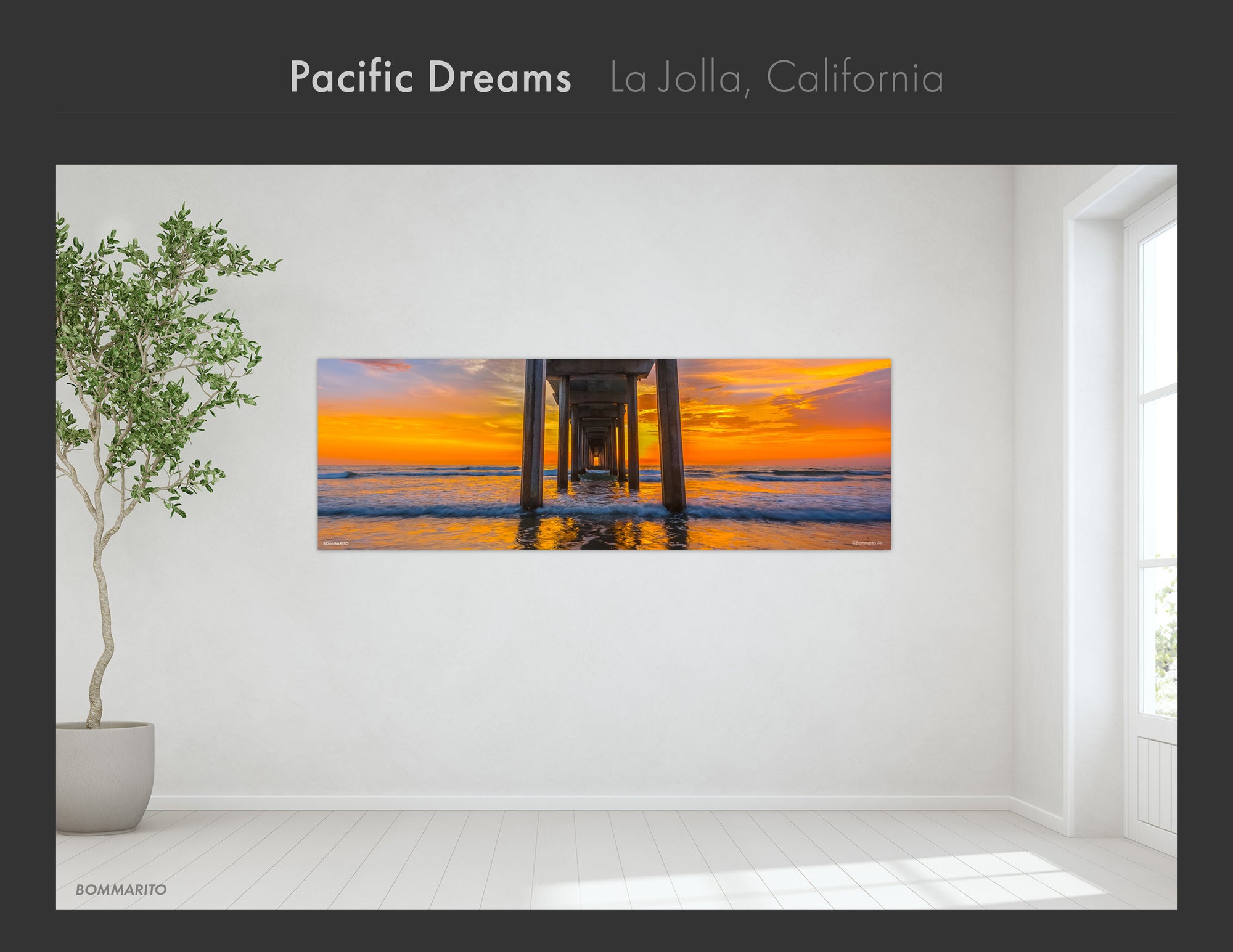 La Jolla Collection - Best Sellers and Artist Favorites (2)