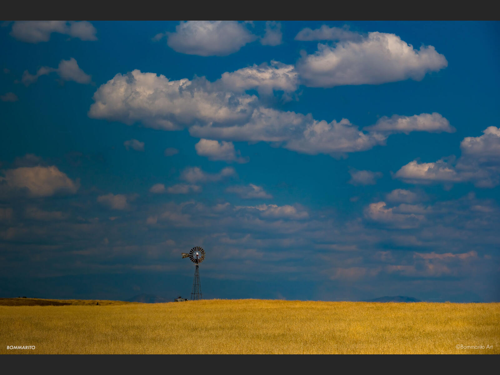 Golden Prairie