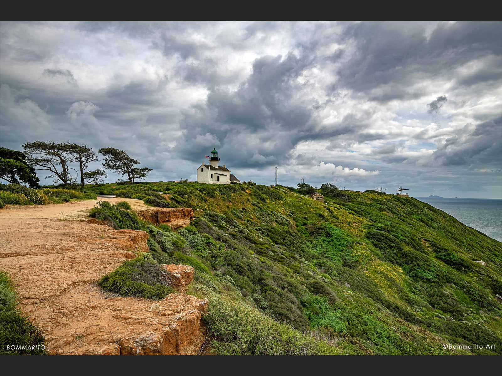 Hillside Flowers at Cabrillo National Monument
